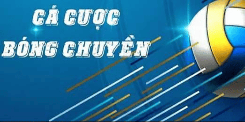 Cá Cược Bóng Chuyền: Kèo Thể Thao Lý Tưởng Nhất 2024