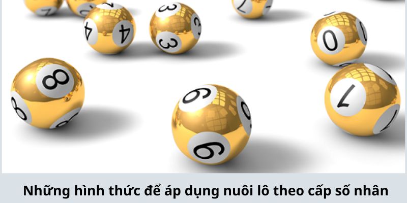 Những hình thức để áp dụng nuôi lô theo cấp số nhân