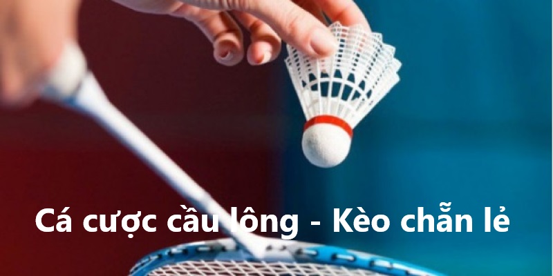 cá cược cầu lông