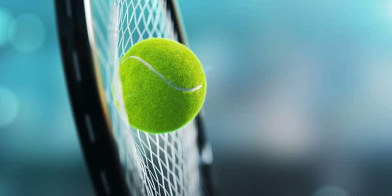 cá cược tennis